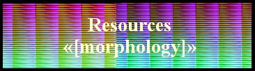  Resources
  «[morphology]» 